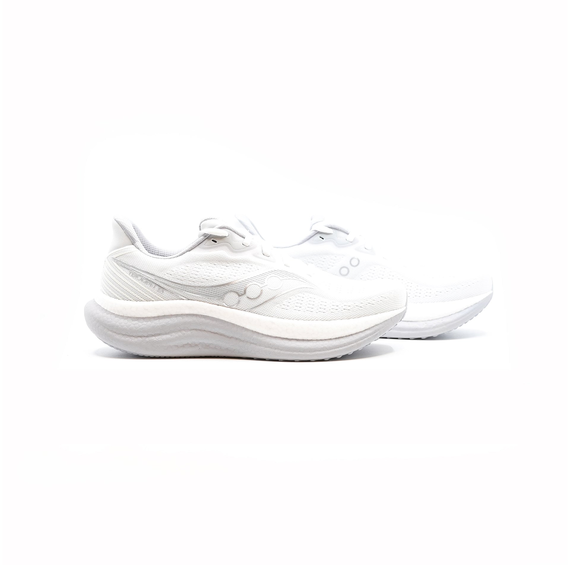 グルーミングドッグ　白 Saucony Triumph 23 - White/Cloud – CCACHE RUNNING