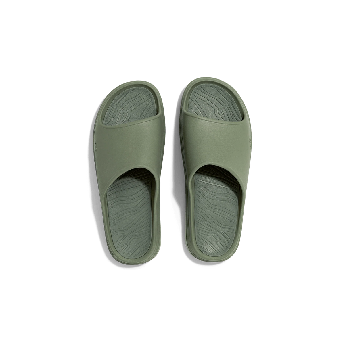 Norda 008 - Sage